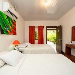 Triple Room Garden View